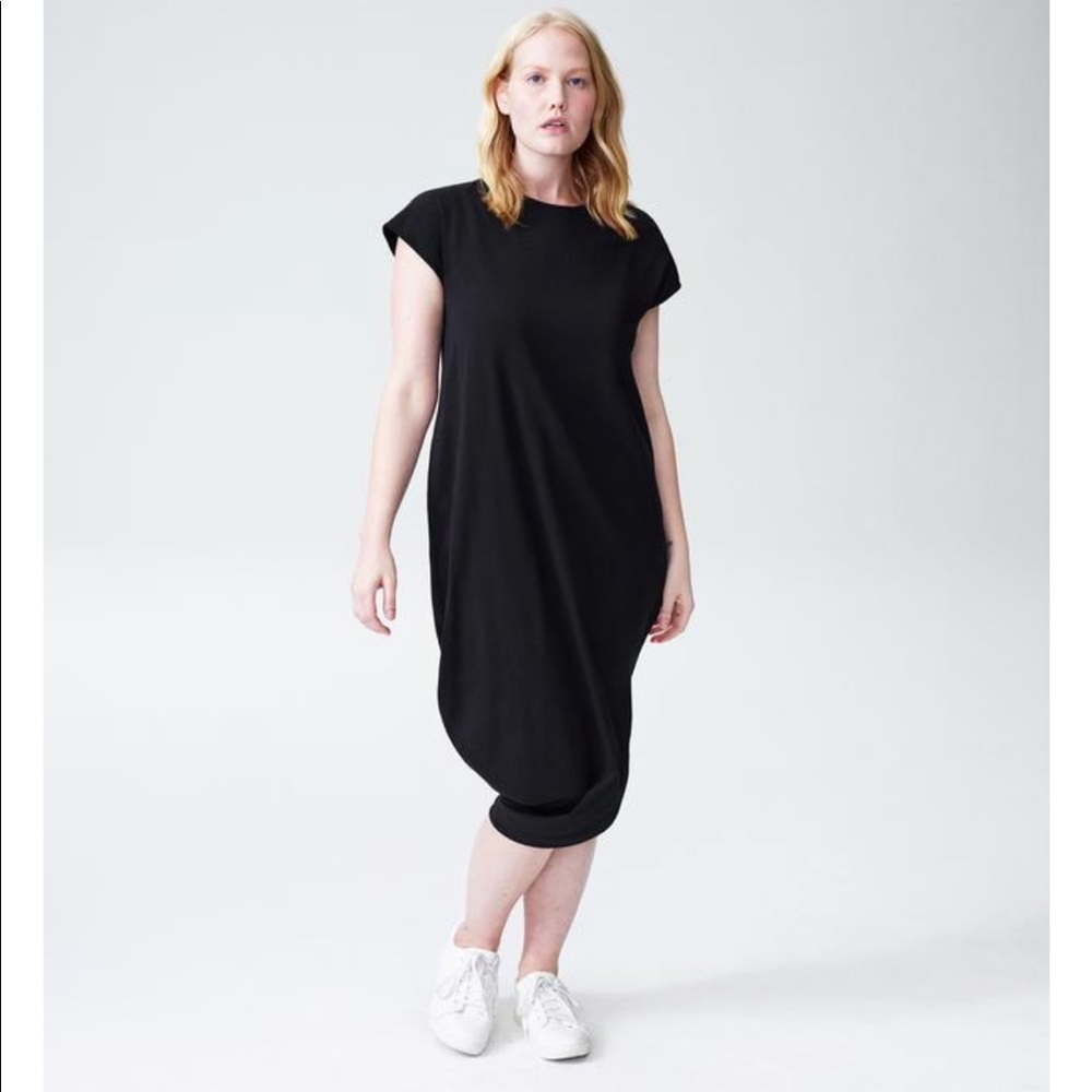 Universal standard Geneva dress